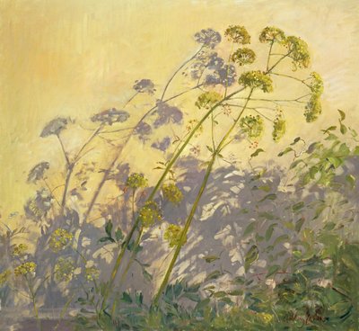 Lovage, Clematis and Shadows by Timothy Easton